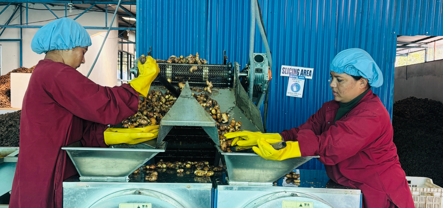Market event with people viewing produce and food items